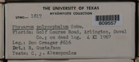 Image Associated With the Occurence